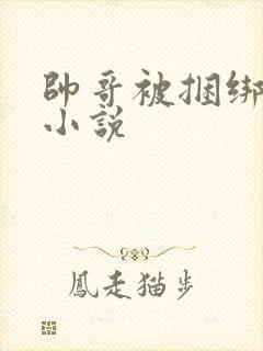 帅哥被捆绑调教小说