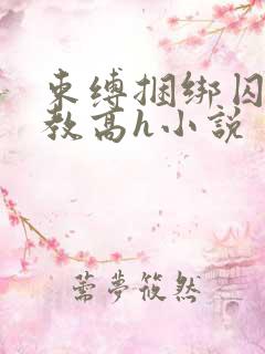 束缚捆绑囚禁调教高h小说