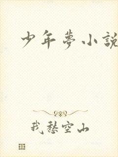 少年梦小说