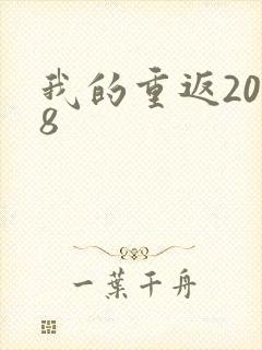 我的重返2008