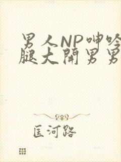 男人NP呻吟双腿大开男男小说