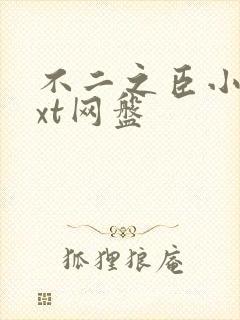 不二之臣小说txt网盘