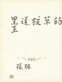 黑道校草的冷公主