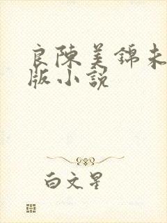 良陈美锦未删减版小说