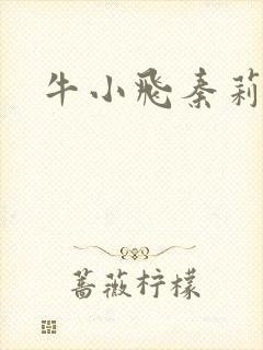 牛小飞秦莉莉
