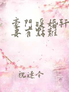 豪门暖婚轩少追妻有点难