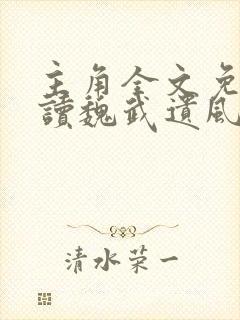 主角全文免费阅读魏武遗风:风流小神医