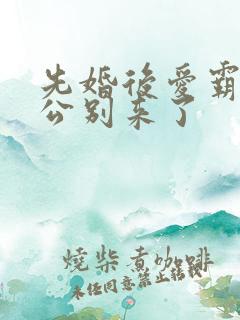 先婚后爱霸道老公别来了