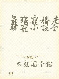 最强宠婚老公放肆宠小说全文免费