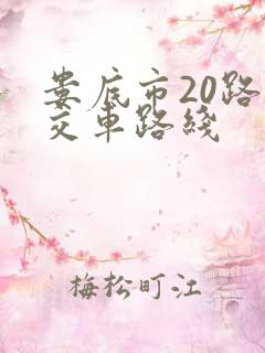 娄底市20路公交车路线