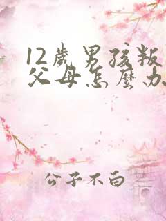 12岁男孩叛逆父母怎么办