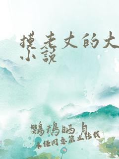 摸老丈的大牛子小说
