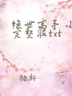 绝世高手 小说完整版txt