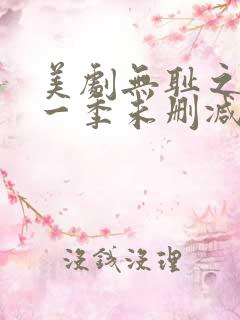 美剧无耻之徒第一季未删减