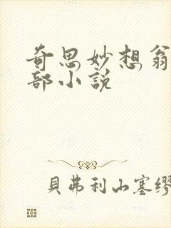 奇思妙想翁的全部小说