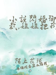 小说闪婚御姐总裁,姐姐把我宠上天