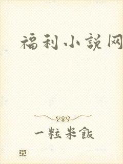 福利小说网