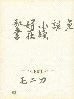 赘婿小说免费听书在线