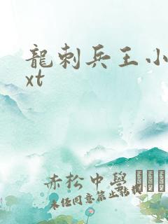 龙刺兵王小说txt