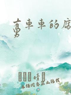 有车车的腐肉双男