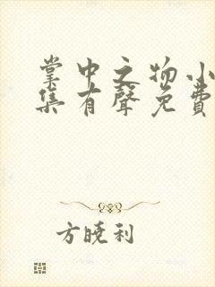 掌中之物小说全集有声免费听