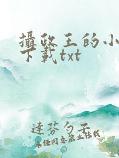 摄政王的小闲妻下载txt