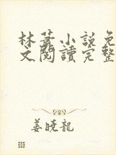 林萧小说免费全文阅读完整版
