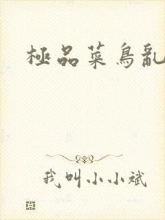 极品菜鸟乱江湖