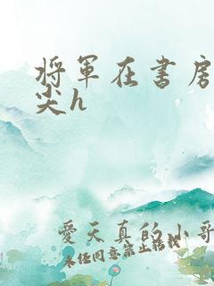 将军在书房含乳尖h