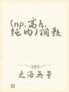 (np,高h,纯肉)调教