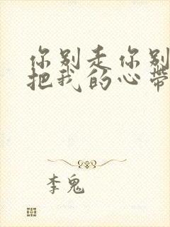 你别走你别走你把我的心带走求歌名