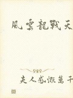 风云龙战天下