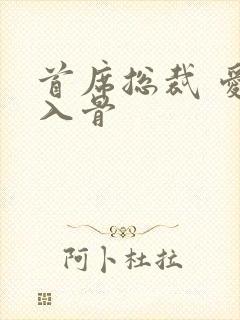 首席总裁 爱你入骨