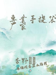 专业手提袋定制厂家