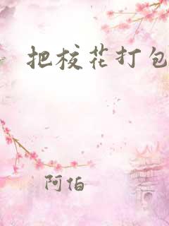 把校花打包带走
