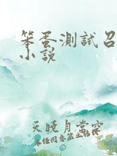 笨蛋测试召唤兽小说