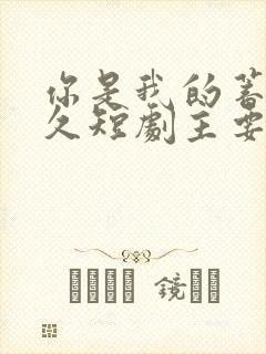 你是我的蓄谋已久短剧主要是谁