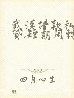 武汉借款私人借贷,短期周转