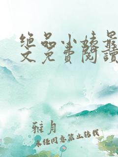 绝品小姨最新全文免费阅读