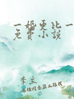 一婚更比一婚高免费小说