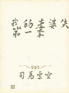 我的老婆失忆了第一季