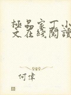 极品家丁小说全文在线阅读