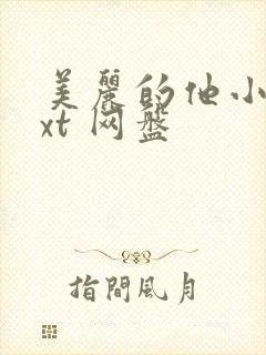 美丽的他小说txt 网盘