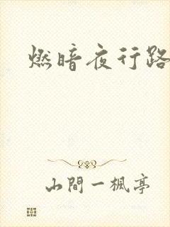 燃暗夜行路