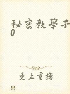 秘密教学子豪40