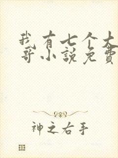 我有七个大佬哥哥小说免费阅读无弹窗