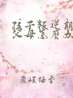 孩子叛逆期要打父母怎么办