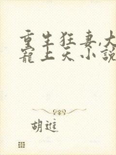 重生狂妻,大佬宠上天小说