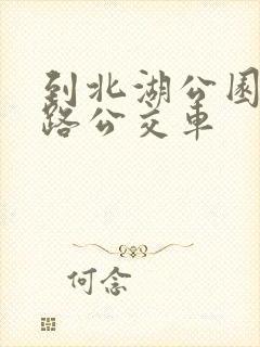 到北湖公园坐几路公交车