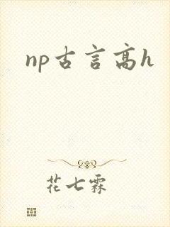 np古言高h